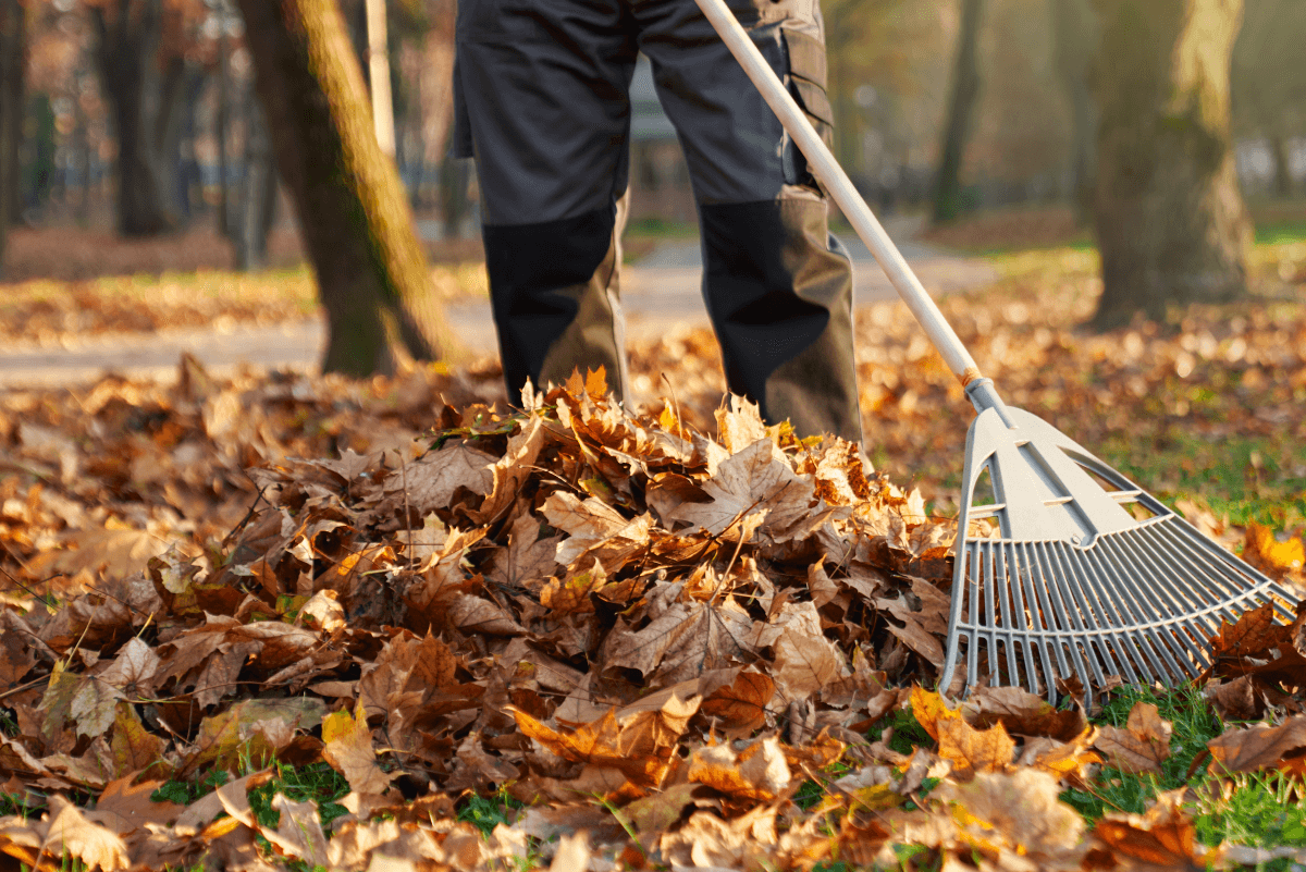 Landscaping services in Fletcher