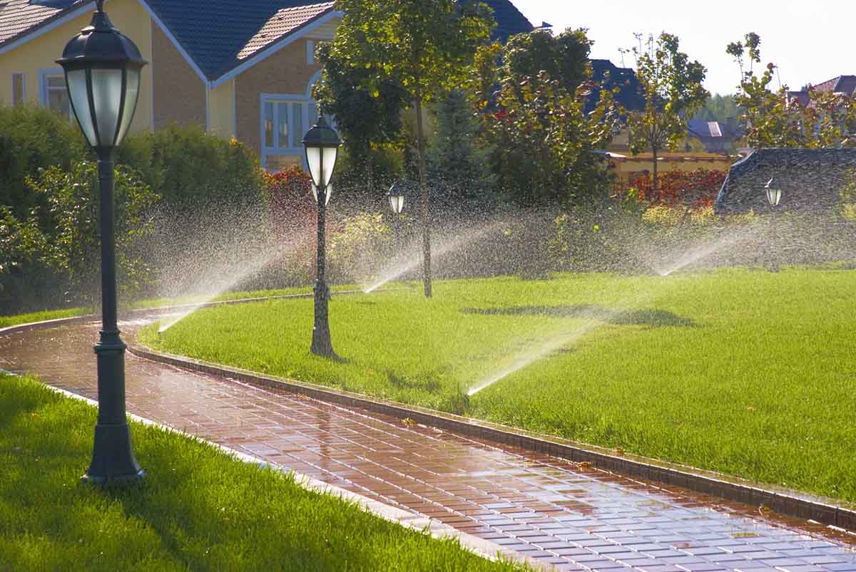 View leaf removal project in Fairview